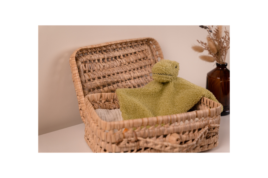 Rex the Tyrannosaurus displayed inside a  brown basket 