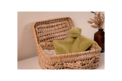 Rex the Tyrannosaurus displayed inside a  brown basket 