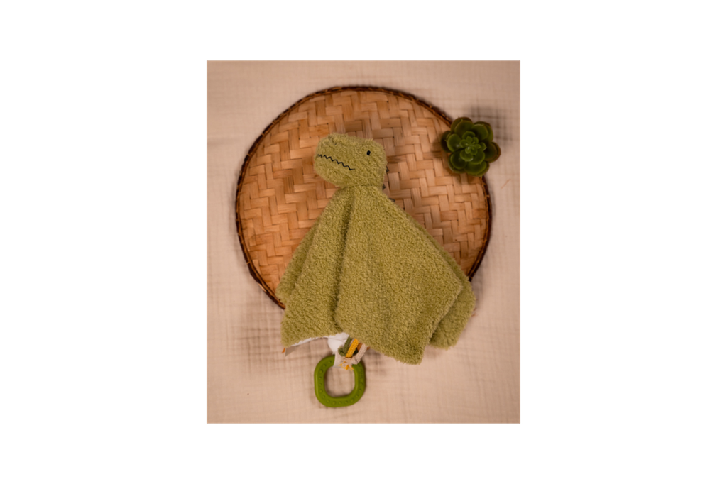 Rex the Tyrannosaurus displayed on a brown handwoven tray with a green flower on it 